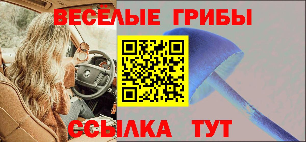 ЭКСТАЗИ  ГАШ  MDMA  Вход с VPN  Марихуана  Кингисепп  Меф МЯУ МЯУ   КОКАИН 