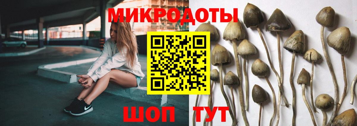 где найти   Псилоцибиновые грибы мухоморы  Вход с VPN  Кингисепп 