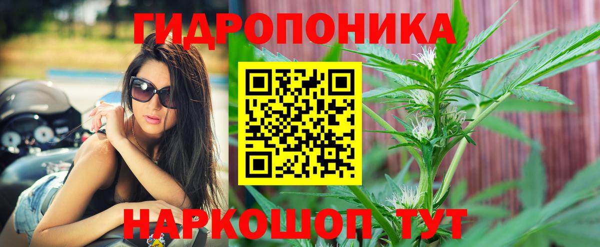 Бошки Шишки Amnesia Кингисепп